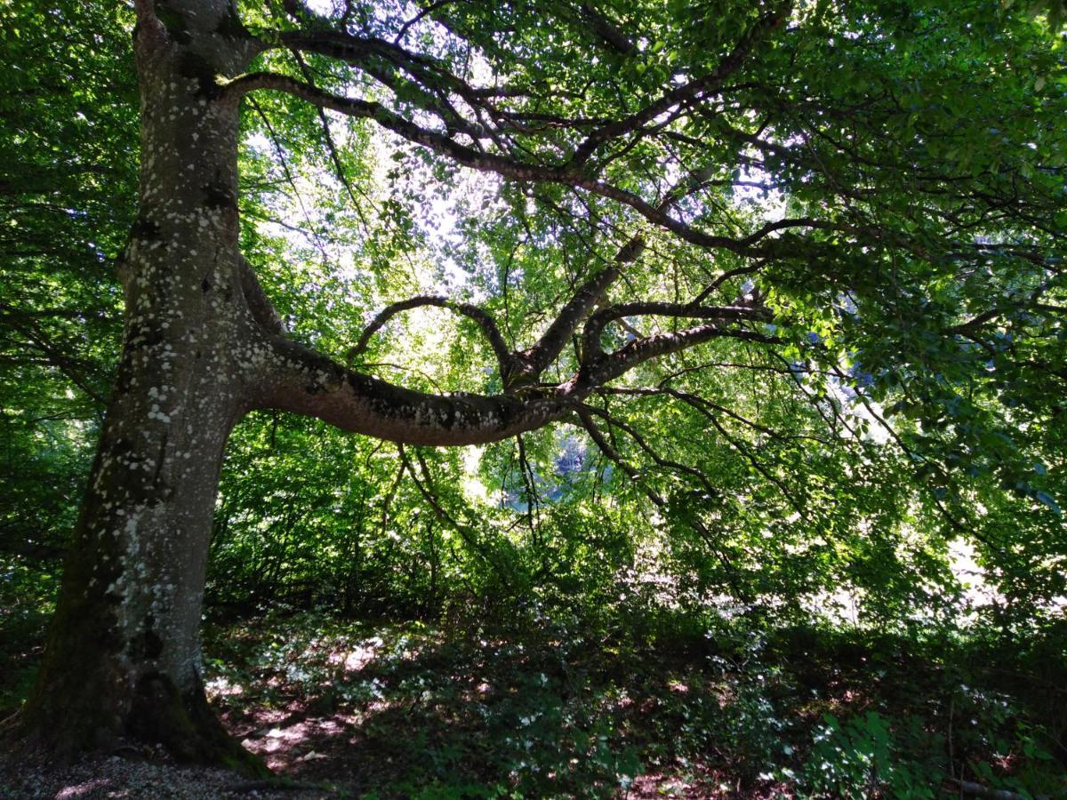 Mit Kleinem Garten * Sonnenbuhl