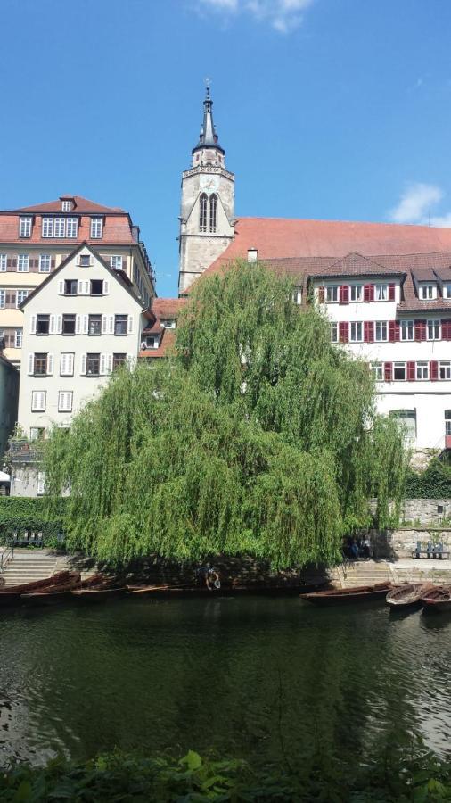 Apartment Mit Kleinem Garten *