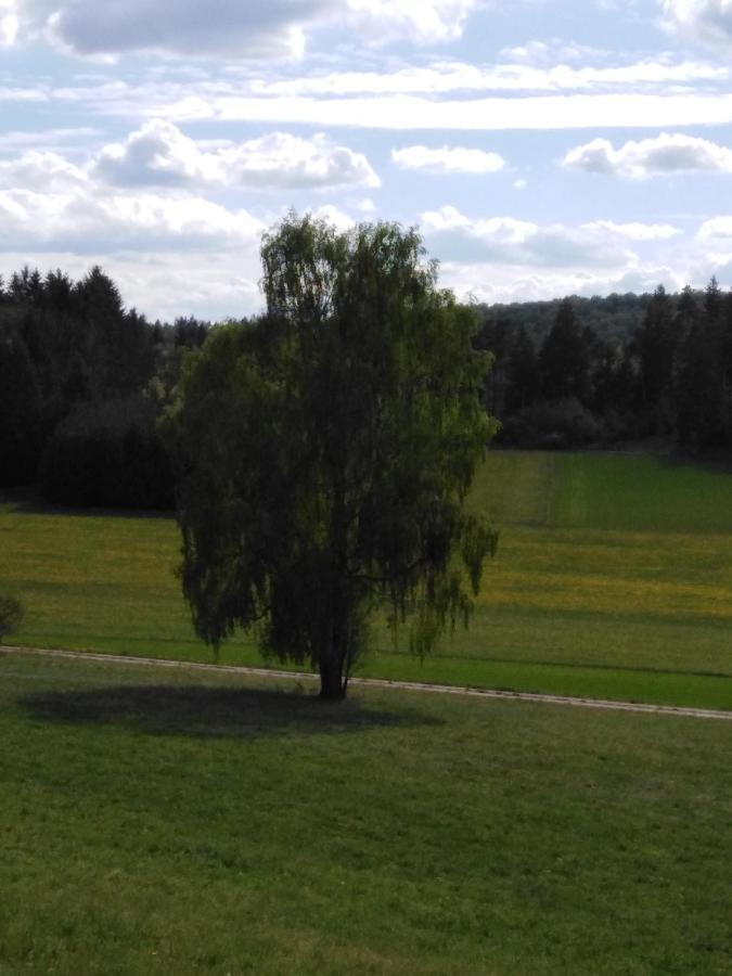 Mit Kleinem Garten Apartment *