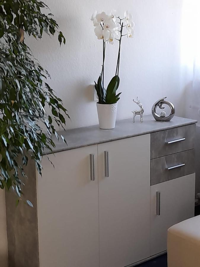 Mit Kleinem Garten Apartment